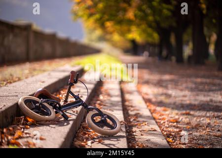 Das Childs Bike wird im Herbstpark auf der Treppe platziert und an sonnigen Tagen mit bunten Pflanzen auf dem Boden belebt Stockfoto