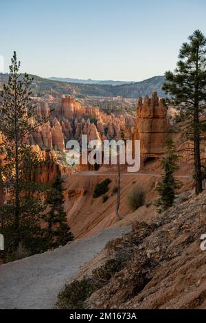 PEEKABOO Loop Connector Trail schlängelt sich in Richtung der Hoodoos unten im Bryce Canyon Stockfoto