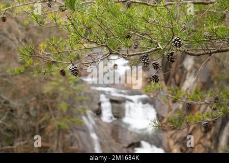 Ausblicke rund um die Tallulah Falls, nordöstlich von Atlanta, Habersham, Rabun County. Es handelt sich um eine Reihe von 6 Wasserfällen, die durch die antike Tallulah Gorge stürzen Stockfoto