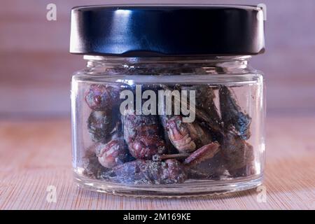 Glas mit verzehrfertigen, gesalzenen gebratenen Heuschrecken, Knoblauch- und feinen Kräuteraroma, trendige Alternative Stockfoto