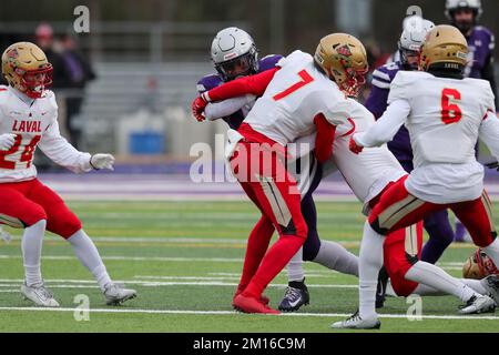 Okt. 31 2022, London, Ontario, Kanada. Laval Rouge oder besiege die Western Mustangs 27-20, um den Mitchell Bowl zu gewinnen. Keon Edwards von den westlichen Mustangs Stockfoto