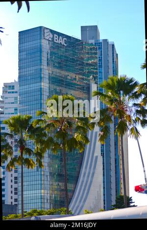 bankgebäude in panama-Stadt, Palmen vor dem Hotel Stockfoto