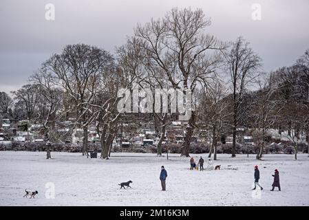 Verschneite, winterliche Tage im Inverleith Park, Edinburgh, Schottland, Großbritannien. Stockfoto