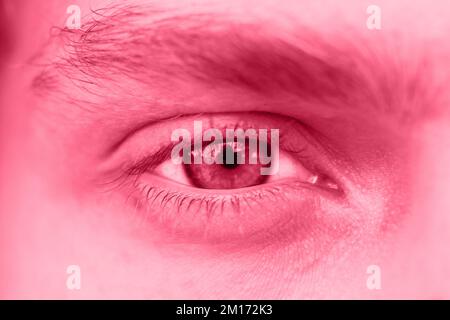 Männliches Auge aus der Nähe. Der Mann schaut in den Rahmen. Braune Iris in Makro. Ein frischer Klassiker für 2023 in Viva Magenta. Farbkonzept des Jahres. Stockfoto