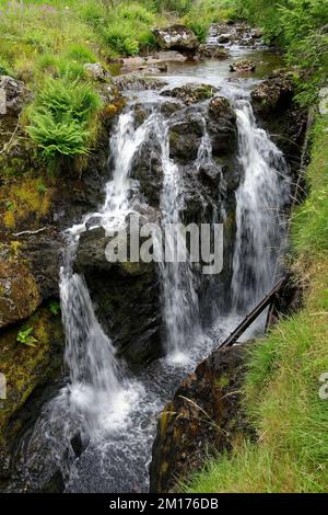 Severn-Break-its-Neck Wasserfall am Fluss Severn in Hafren Forest in der Nähe von Llanidloes, Powys, Central Wales, Großbritannien Stockfoto