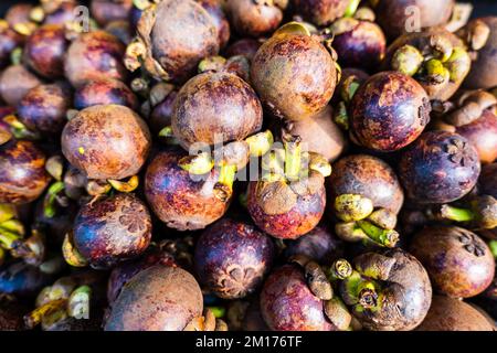 mangostanfrüchte zum Verkauf auf dem Bio-Markt in Asien. Haufen von Mangostanfrüchten (Garcinia mangostana) Stockfoto