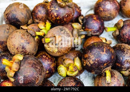 mangostanfrüchte zum Verkauf auf dem Bio-Markt in Asien. Haufen von Mangostanfrüchten (Garcinia mangostana) Stockfoto