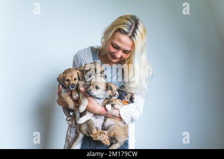 Glückliche junge, weiße Frau, die fünf gemischte, obdachlose Welpen in den Armen hält. Provisorisches Hauskonzept. Adoptionshunde. Hochwertiges Foto Stockfoto