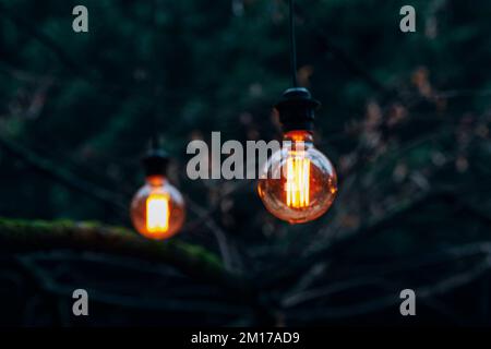 Glühbirnen auf dunkel verschwommenem Hintergrund. Selektiver Fokus. Stockfoto