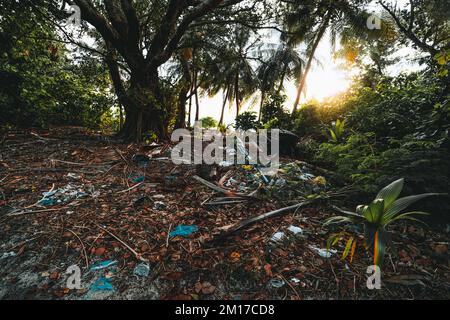 Der Boden ist voller Schmutz und Abfall von menschlichen Aktivitäten, Flaschen und anderen Arten von Kunststoffen. Landschaft an einer tropischen Küste, dicht mit Vegetation Stockfoto