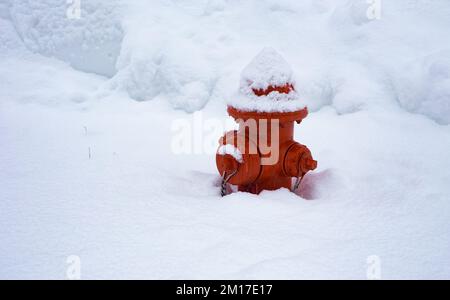 Ein roter, schneebedeckter Hydrant in Troja, Montana. Stockfoto