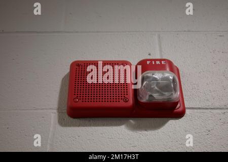 Roter Feuermelderkasten mit weißem Licht im amerikanischen Schulgebäude, an der Wand aus lackiertem Betonstein montiert Stockfoto