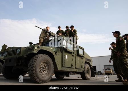 Rumänien. 8.. November 2022. Soldaten, die dem 526.. Brigaden-Stützbataillon, dem 2.. Brigaden-Kampfteam, der 101.. Luftwaffendivision (Luftangriff) zugewiesen sind, und kanadische Soldaten, die der Air Task Force-RUMÄNIEN zugeteilt sind, machen sich am 8. November 2022 in Rumänien mit den m2 vertraut. 101. Einheiten werden die Mission des V-Korps zur Stärkung der östlichen Flanke der NATO unterstützen und sich an multinationalen Übungen mit Partnern auf dem gesamten europäischen Kontinent beteiligen, um die Verbündeten unserer Nationen zu beruhigen. Kredit: USA Army/ZUMA Press Wire Service/ZUMAPRESS.com/Alamy Live News Stockfoto