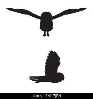Vektordarstellung der Eule-Silhouette Stock Vektor