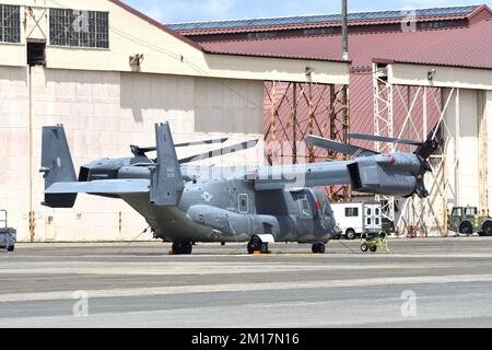 Tokio, Japan - 22. Mai 2022: US Air Force Bell Boeing CV-22B Osprey Tiltrotor Militärtransportflugzeug. Stockfoto