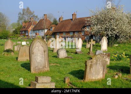 Headcorn: Friedhof von St. Peter und St. Paul's Kirche mit Häusern am Church Walk, Narzissen und Blütenbäumen in Headcorn, Kent, England Stockfoto