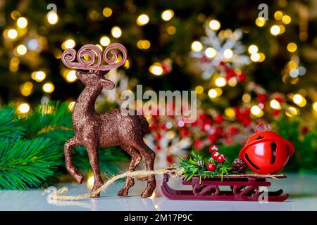 Ein Rainder zieht einen Schlitten. Stockfoto