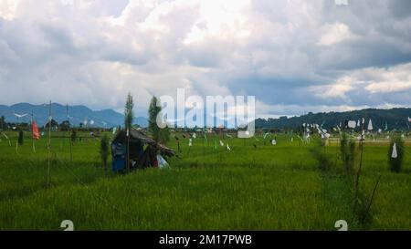 Hütte inmitten wunderschöner Reisfelder mit bewölktem Himmel Stockfoto