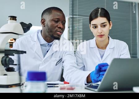 Porträt zweier ethnischer Mediziner, die im wissenschaftlichen Labor arbeiten und auf den Laptop-Bildschirm schauen Stockfoto
