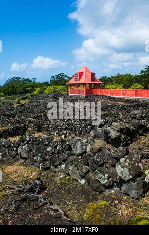 Roter Fußweg in den zum UNESCO-Weltkulturerbe gehörenden historischen Weinbergen im Weinmuseum von Pico, Insel Pico, Azoren, Portugal, Europa Stockfoto