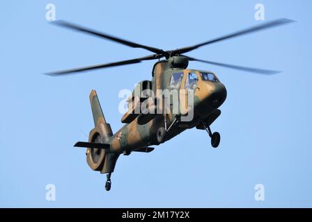 Präfektur Shizuoka, Japan - 10. Juli 2011: Japan Ground Self-Defense Force Kawasaki OH-1 Scout Helikopter. Stockfoto