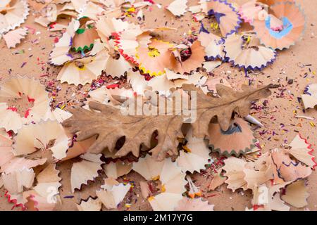 Blatt inmitten Farbe trocken rasieren Bleistift Stockfoto