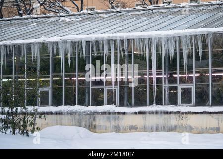 Gefrorene Eiszapfen hängen vom Dach auf dem Gewächshaus. Schnee schmilzt im frühen Frühling und in der Schneebause Stockfoto