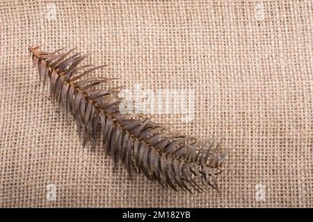 Ein separates trockenes Blatt der Herbstzeit Stockfoto