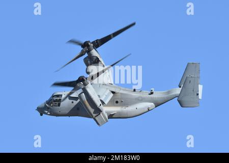 Präfektur Kanagawa, Japan - 18. Dezember 2021: USMC Bell Boeing MV-22B Osprey Tiltrotor Militärtransportflugzeug von VMM-262 Flying Tigers. Stockfoto