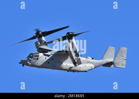 Präfektur Kanagawa, Japan - 18. Dezember 2021: USMC Bell Boeing MV-22B Osprey Tiltrotor Militärtransportflugzeug von VMM-262 Flying Tigers. Stockfoto