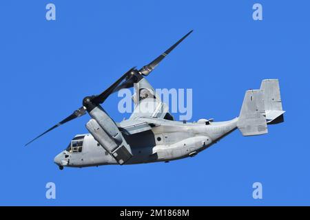 Präfektur Kanagawa, Japan - 18. Dezember 2021: USMC Bell Boeing MV-22B Osprey Tiltrotor Militärtransportflugzeug von VMM-262 Flying Tigers. Stockfoto