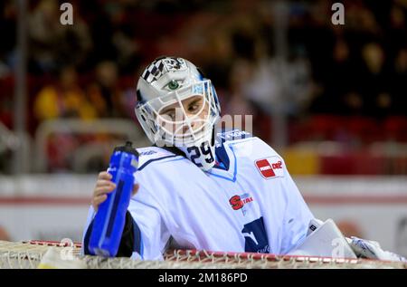 Goalwart Philipp DIETL (STR) Eishockey 1. Bundesliga, DEL Matchday 28, Duesseldorfer EG (DEG) - Straubing Tigers (STR) 1: 4, am 9.. Dezember 2022 in Düsseldorf. Stockfoto