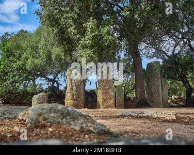 09 26 2017: Menhir Alignment von Stantari ist eine archäologische Stätte auf der Insel Korsika, Frankreich Stockfoto