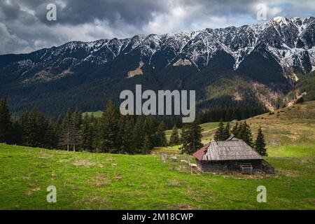 Spektakulärer alpiner ländlicher Ort mit wackeligen Holzhütten und hohen schneebedeckten Piatra Craiului Bergen, Pestera Dorf, Siebenbürgen, Rumänien, Europa Stockfoto