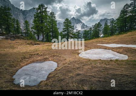 Bekannter Bergort mit grünem Lärchenwald und wunderschönen schneebedeckten Bergen, in der Nähe von Kranjska Gora, Slemenova Spica, Julian Alps, Slowenien, Europa Stockfoto