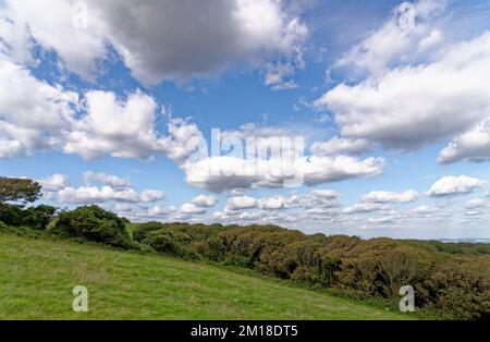 Blick von den South Downs in der Nähe von Beachy Head mit Blick auf die Küste - Beachy Head in der Nähe von Eastbourne. Ost-Sussex. England – Vereinigtes Königreich Stockfoto
