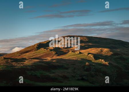 Sallows aus dem Kentmere Valley von Cumbria Stockfoto