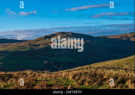 Sallows aus dem Kentmere Valley von Cumbria Stockfoto