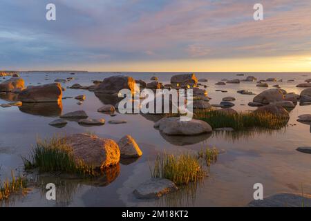 Felsige Küste mit Steinen, die im Meerwasser sinken. Sonnenuntergang, orangefarbenes Licht, Estland. Stockfoto