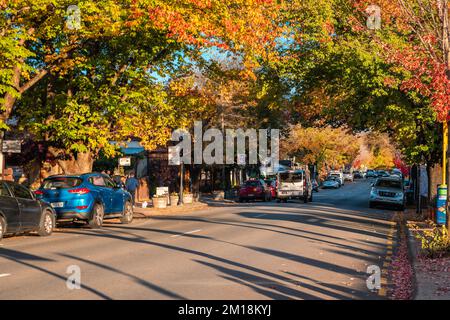 Adelaide Hills, Südaustralien - 24. April 2021: Blick auf die Hahndorf Main Street mit Autos, die während der Herbstsaison bei Sonnenuntergang geparkt sind Stockfoto