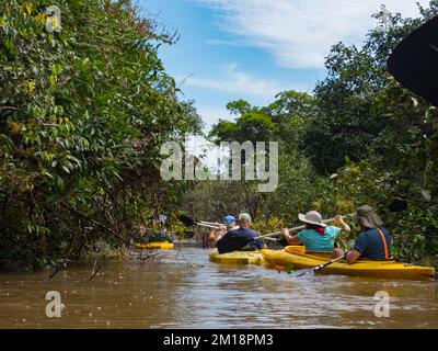 Dschungel, Brasilien - Nov. 2019: Eine Gruppe von Menschen fahren mit dem Kajak zwischen den Bäumen im Hochwasser des Amazonas-Dschungels, Amazonien. Südamerika Stockfoto