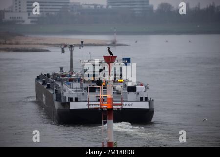 11. Dezember 2022, Nordrhein-Westfalen, Düsseödorf: Ein Frachtschiff segelt am dritten Adventsort bei düsterem Wetter über den Rhein in der Nähe von Düsseldorf; ein Kormoran auf einem Signalmast ist im Vordergrund zu sehen. Foto: Thomas Banneyer/dpa Stockfoto