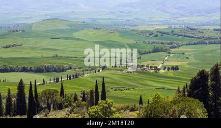 Pienza, Provinz Siena, Toskana, Italien. Blick auf das Val d'Orcia oder das Orcia-Tal von Pienza aus. Das Val d'Orcia ist ein UNESCO-Weltkulturerbe Stockfoto