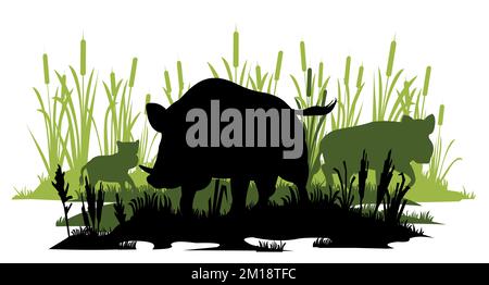 Wildschwein im Sumpf beschützt seine Familie. Tier in natürlichem Lebensraum. Wildschwein-Illustration. Isoliert auf weißem Hintergrund. Vektor. Stock Vektor