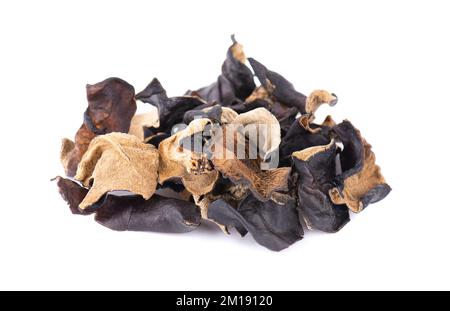 Trockener schwarzer Pilz, isoliert auf weißem Hintergrund. Chinesischer schwarzer Pilz oder Baum schwarzer Muer Pilz. Auricularia polytricha Stockfoto
