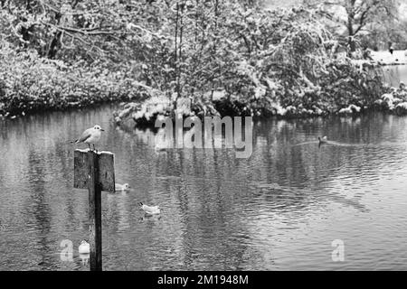 Szenen in Cirencester während des letzten Schneefalls. Eine ehemalige römische Stadt und historische Wool Trade Town Stockfoto