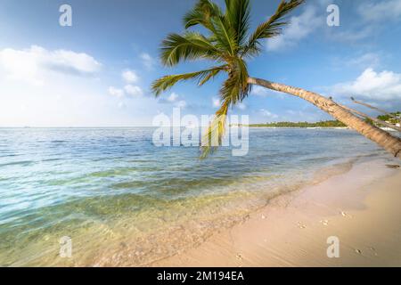 Palmen und tropischer idyllischer Strand in Punta Cana, türkisfarbenes karibisches Meer Stockfoto