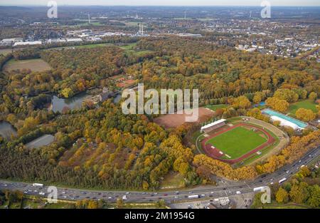 Luftaufnahme, bebautes Schloss Wittringen mit Burgteich und Stadion Gladbeck - Vestische Kampfbahn im Bezirk Butendorf in Gladbeck, Ruhrgebiet, Norden Stockfoto
