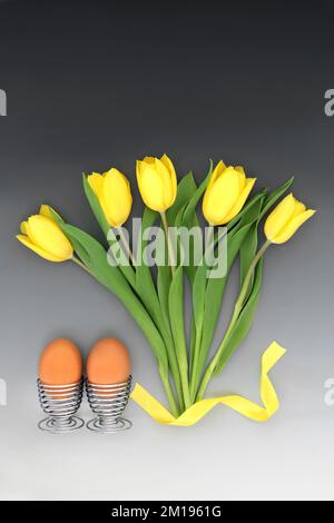 Frühlings-Osterblüten-abstrakte Zusammensetzung mit frischen organischen Eiern in Eierbechern. Weihnachtsfeier Naturkomposition. Auf Farbverlauf grau weiß. Stockfoto