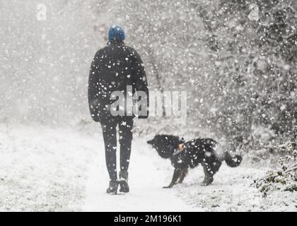 Kidderminster, Großbritannien. 11.. Dezember 2022. Wetter im Vereinigten Königreich: Schnee trifft die Midlands und Wanderer, die am Sonntag einen Spaziergang machen, sind mit einem schweren Schneesturm konfrontiert. Eine Hundebesitzerin, eingewickelt in einen warmen Wintermantel, Hut und Handschuhe, trotzt den Elementen, die ihren Hund Max, ein verspieltes Collie Cross, auf dem Pfad entlang eines gefrorenen Worcestershire-Kanals führen. Kredit: Lee Hudson/Alamy Live News Stockfoto